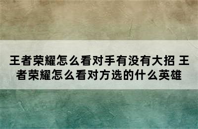 王者荣耀怎么看对手有没有大招 王者荣耀怎么看对方选的什么英雄